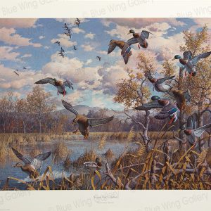 Autumn-Pond - Mallards By Harry Curieux Adamson