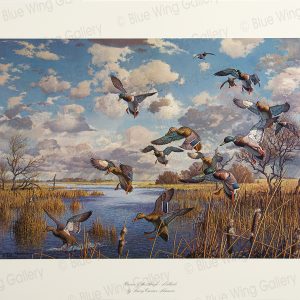 Corner of the Slough - Mallards By Harry Curieux Adamson