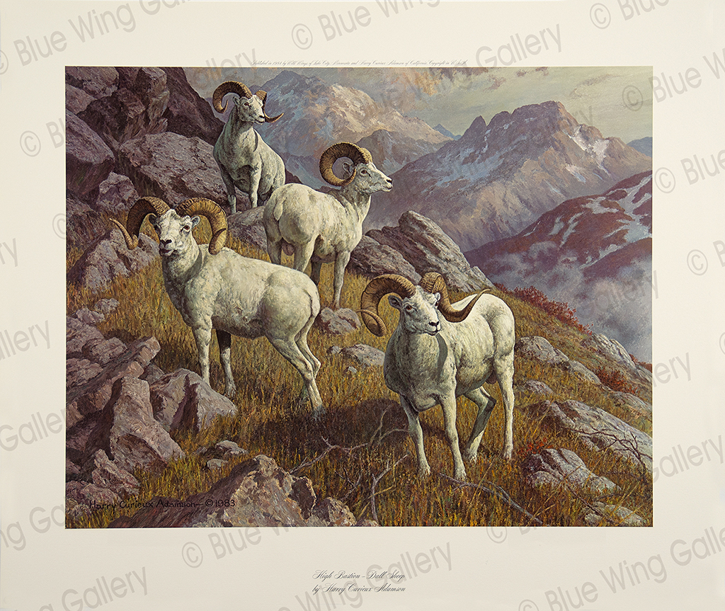 High Bastion - Dall-Sheep By Harry Curieux Adamson