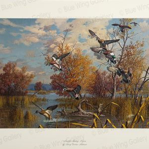 November Fantasy - Wigeon By Harry Curieux Adamson