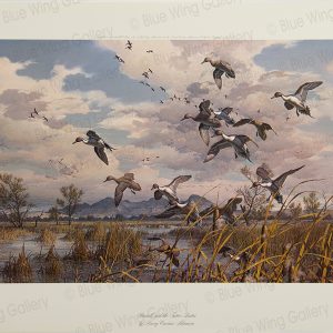 Pintails and the Sutter-Buttes By Harry Curieux Adamson