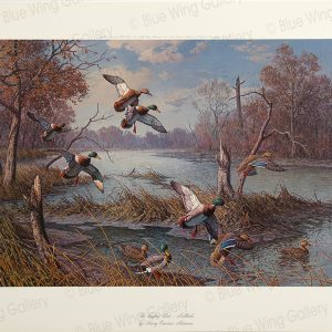 The Loafing Bar - Mallards By Harry Curieux Adamson