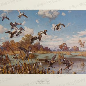 Winged Elegance - Pintails By Harry Curieux Adamson