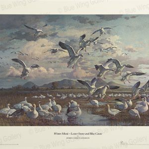 Winter Music - Lesser Snow and Blue Goose By Harry Curieux Adamson